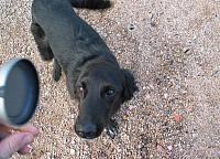 Shadow mugs for the camera