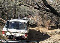 Making our way through the thicket by the river