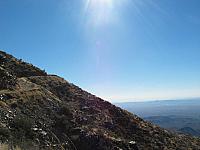 View from the road to the top.