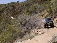 Jon leads the group out of the brush