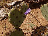 A few of the locals say good bye