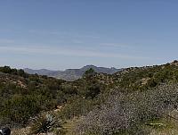 The view from the top, looking west