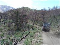 Jon heads up the trail