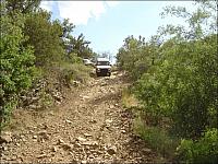 Finally, some green vegitation