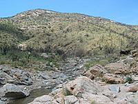 The recent fires have changed this landscape