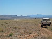 Land Rovers on a Southern Arizona road