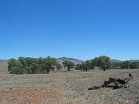 Scenery on the way to the Mexican Border
