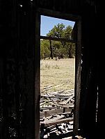 Looking out the window.