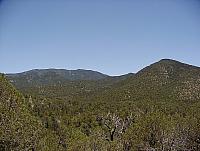 Who says Arizona isn't green?