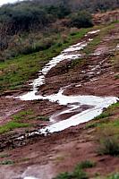 It's so wet the water's not soaking in any more.