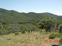 Sunnyside site - look closely