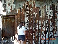 Donna reading the Sunnyside wallpaper