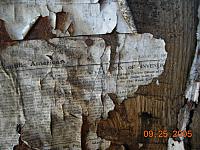 Sunnyside wallpaper 4