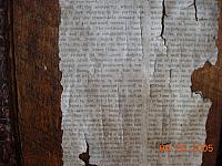 Sunnyside wallpaper 6