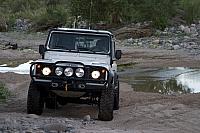 Leo and his always clean D90