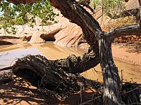 DAY3-20101008-120016