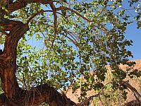 DAY3-20101008-120022