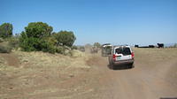 AZLRO Rally 2012 006