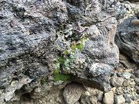 20140301-110321-iPhone