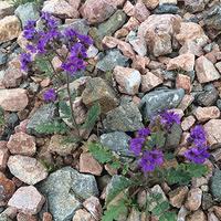 20140301-154115-iPhone