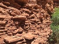 20160519-121754-Chad-iPhone