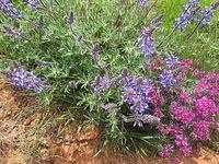 20160520-112346-Chad-iPhone