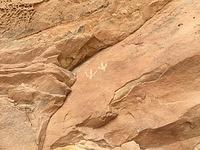 20160520-132046-Chad-iPhone