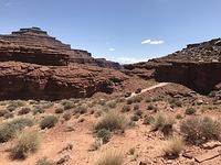 2018-0421-121744-iPhone 7 Plus