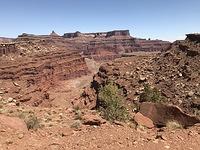 2018-0421-123046-White Rim Road-iPhone 7 Plus