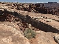 2018-0421-132451-Musselman Arch-iPhone 7 Plus